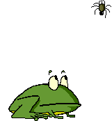 Frog animation
